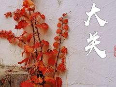 -八大关景区