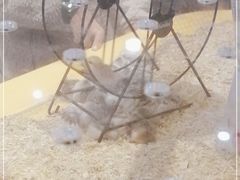 -狗道宠物(常熟印象城店)