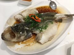 -至潮餐厅精致粤菜·活鲈鱼·走地鸡(珠江新城店)