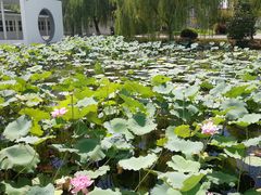-费孝通江村纪念馆