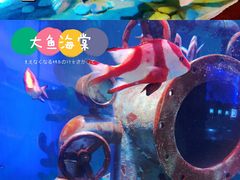 -南京海底世界