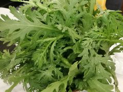 -常赢三兄弟·清真涮肉·清真炒菜(朝阳新城店)