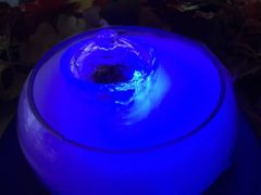 梅子加魚-地球美食剧场