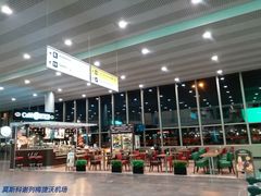 -谢列梅捷沃国际机场