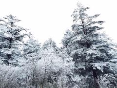 -峨嵋山金顶
