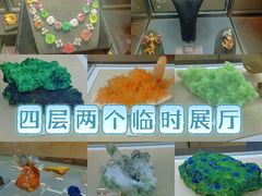 -中国地质博物馆
