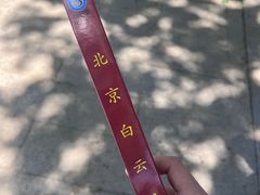 -白云观