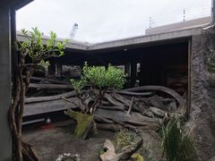 -西雅图水族馆