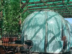 -遇见阿家村云南菜(魏公村店)