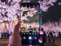 -西北湖绿化广场