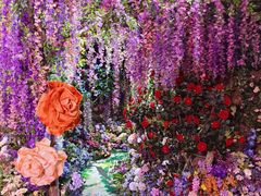-正佳雨林生态植物园
