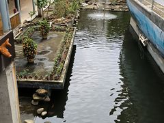 -年辉渔村·非遗传承餐厅(新丰江店)