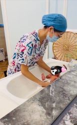 -杭州贝瑞斯美华妇儿医院·早孕·产检·儿科