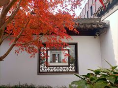 -秋霞圃