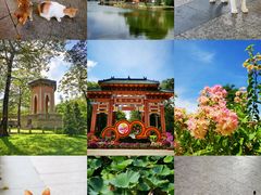 -中山公园