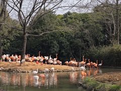 -上海野生动物园