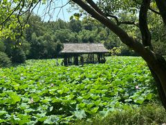 -兰亭风景区