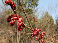 -金堂县云顶石城风景区