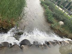 -飞凤山奥体公园