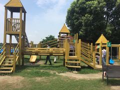-荷塘月色湿地公园·向阳花洲