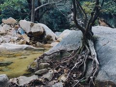 -黑龙潭风景区