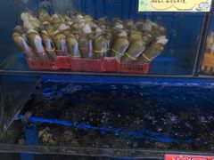 -蚝专家(北滘店)
