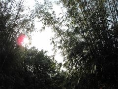 IMG_0659-茂德公草堂
