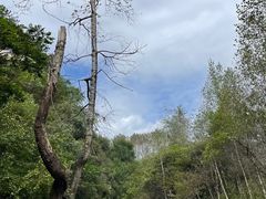 -玉渡山自然风景区