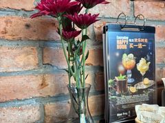 -blue frog蓝蛙(长泰广场店)