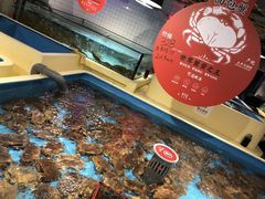-日进一片海.生腌海鲜火锅.宵夜烧烤(三里屯总店)