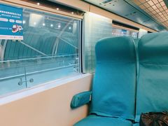 -龙阳路磁悬浮列车总站-停车场