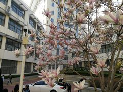 -山东大学(威海校区)