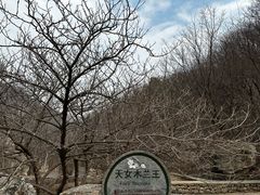 -大连天门山国家森林公园