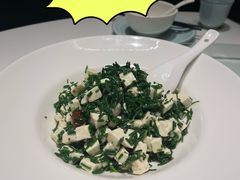 沙葱拌豆腐-宁夏国强手抓羊肉·清真菜(未央路凤三店)