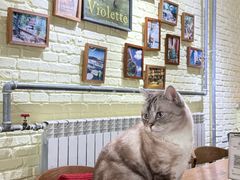 -雕刻时光·咖啡·酒吧·西餐(香山店)