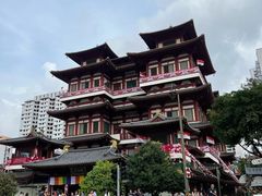 -新加坡佛牙寺龙华院