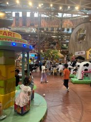 -卡通尼·Safari非洲探索乐园·生日会(金桥国际商业广场店)