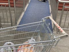 -胖东来生活广场(健康路店)