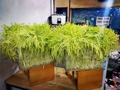 -尤素福东举院饺子馆