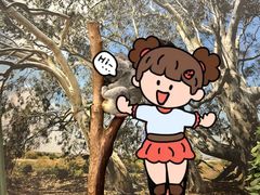 -费瑟代尔野生动物园