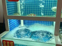 -冶建镜子·老南昌大排档·江西虾王(总店)