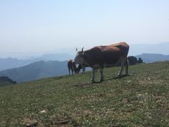 -灵山