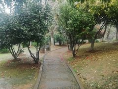 -巴陵广场