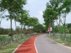 -上海长兴岛郊野公园