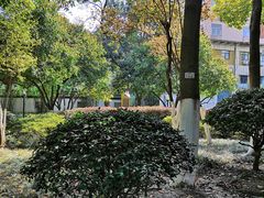 -常州古运河南大街文化旅游区-人民公园