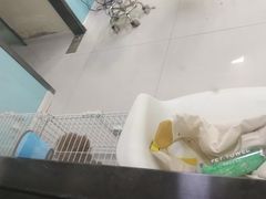 -天宠宠物医院24小时·急重症诊疗中心·全科·腔镜特色(和平分院)