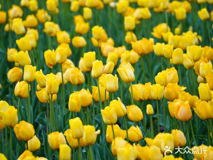 静安雕塑公园图片