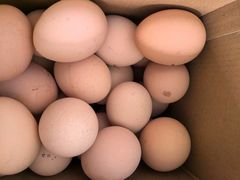 -马陆小张葡萄园农家乐