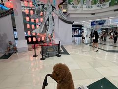 -凯德广场(学府店)