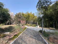 -苏州河梦清园环保主题公园